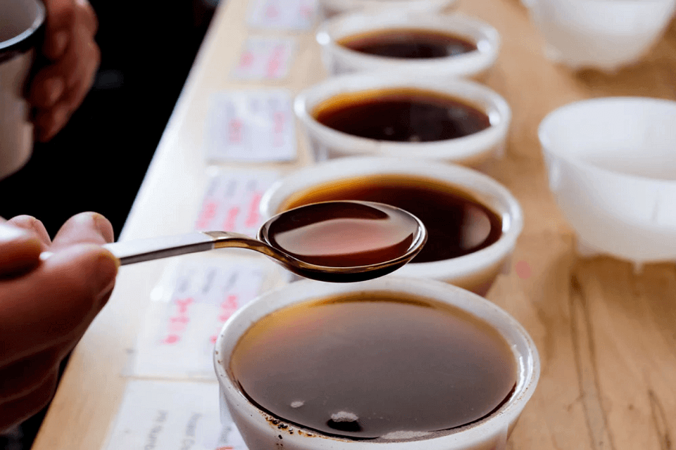 8cupping