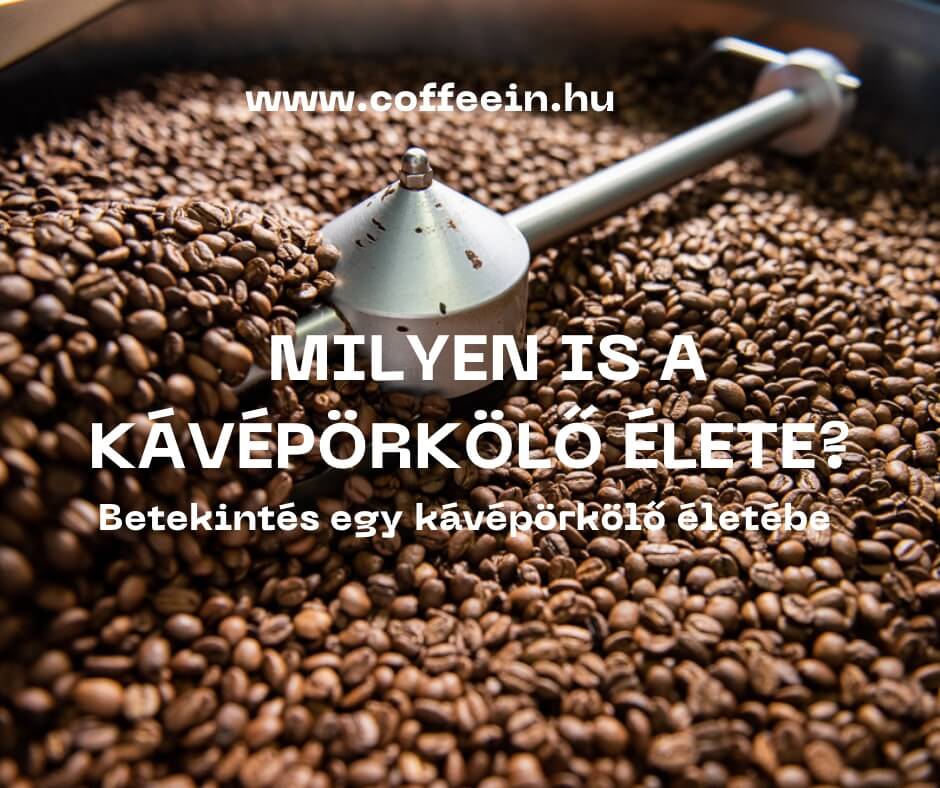 Milyen is a kávépörkölő élete?